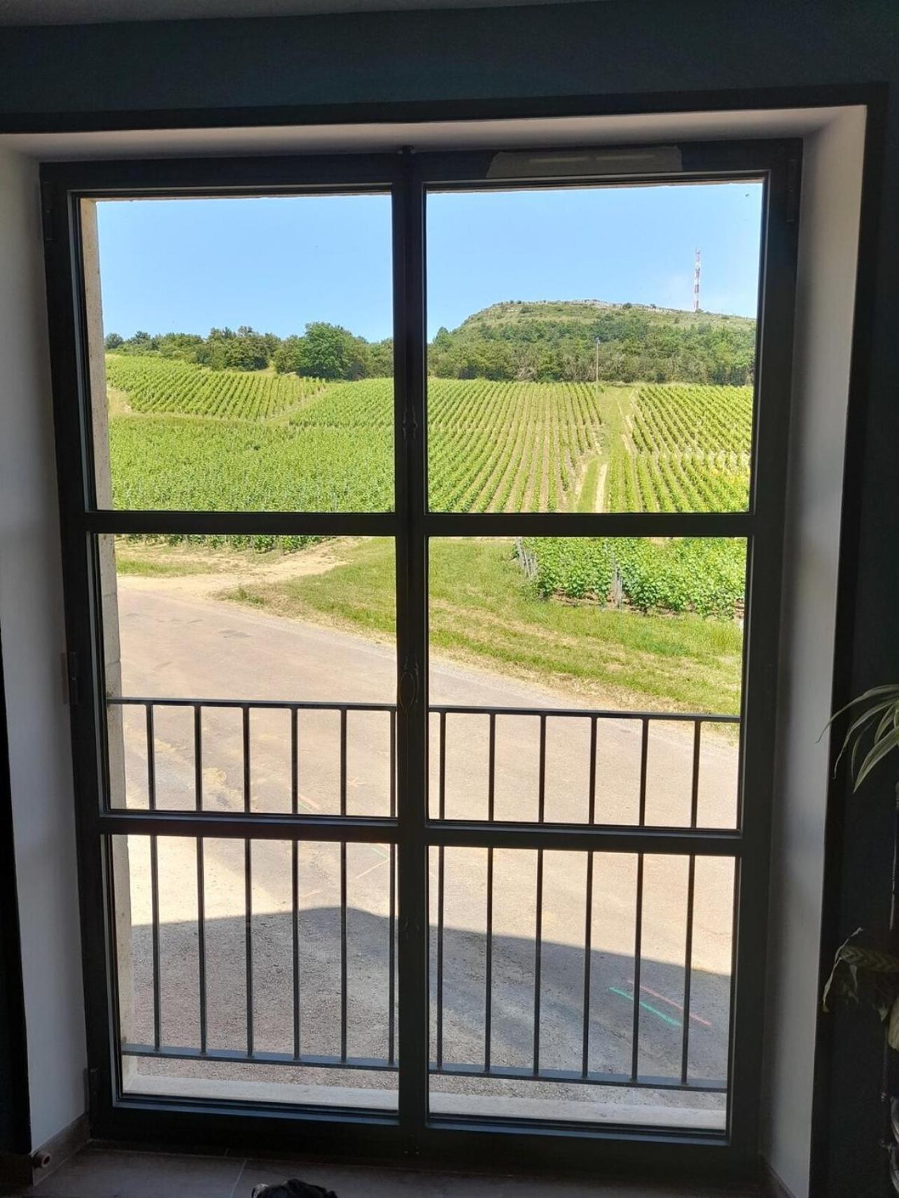 At The End Of The World -Bussires Burgundy Villa Bussieres  Luaran gambar